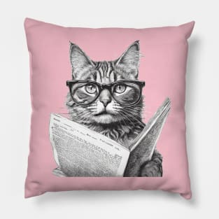 Cat with glasses reading paper. Pillow