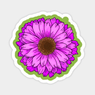 Fuchsia Purple Pink Big Flower Magnet