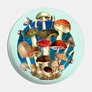 Mushroom night forest, mushroom art, mycology, cottage core aesthetic design over a Pin