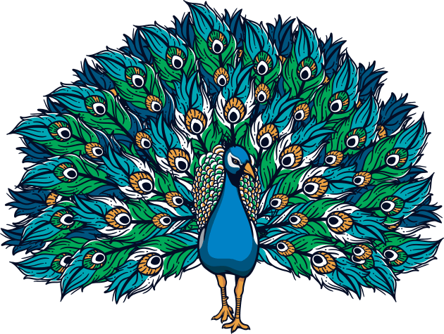 Peacock Kids T-Shirt by Mako Design 