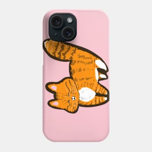 Happy gingey kitty Phone Case