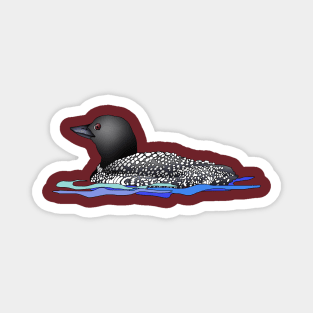 Loon 4 Magnet