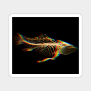 Trippy fish skeleton Magnet