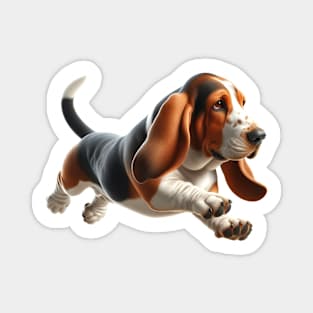 Basset Hound Magnet