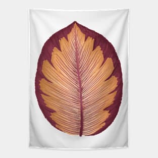 Calathea Corona Leaf Tapestry