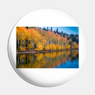 Aspen Reflection Pin