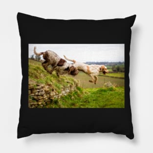 Leaping off a Long Barrow Spinoni Pillow