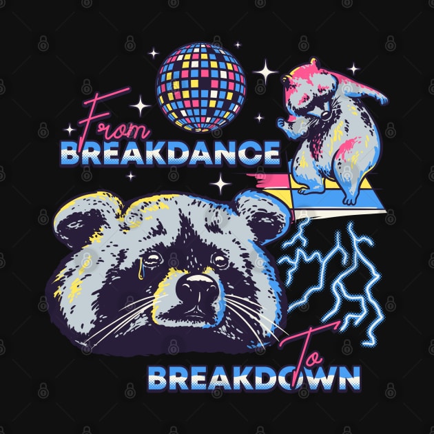 Raccoon MEME | From Breakdance to Breakdown by anycolordesigns