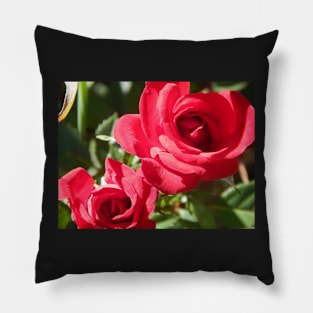 Red as Rose Pillow