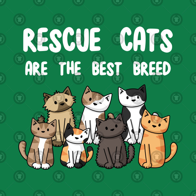 Rescue Cats Are The Best Breed Cat TShirt TeePublic
