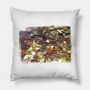 Leaves in a stream , Fall. Pillow