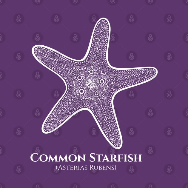 Common Starfish with Common and Latin Names - animal drawing by Green Paladin