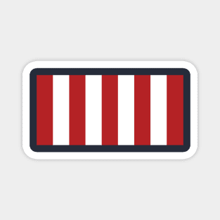 Sons of Liberty Flag Magnet