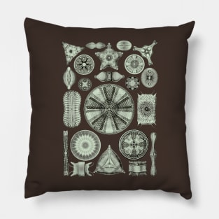 Ernst Haeckel Diatoms Olive Green Pillow