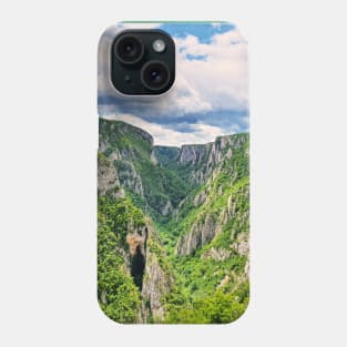 Canyon Phone Case