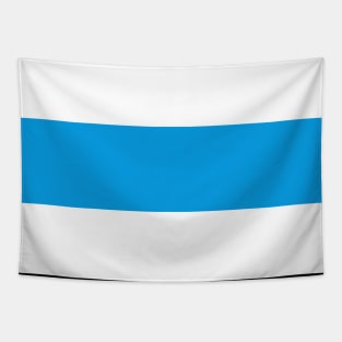 White blue white - New Russian Flag Tapestry