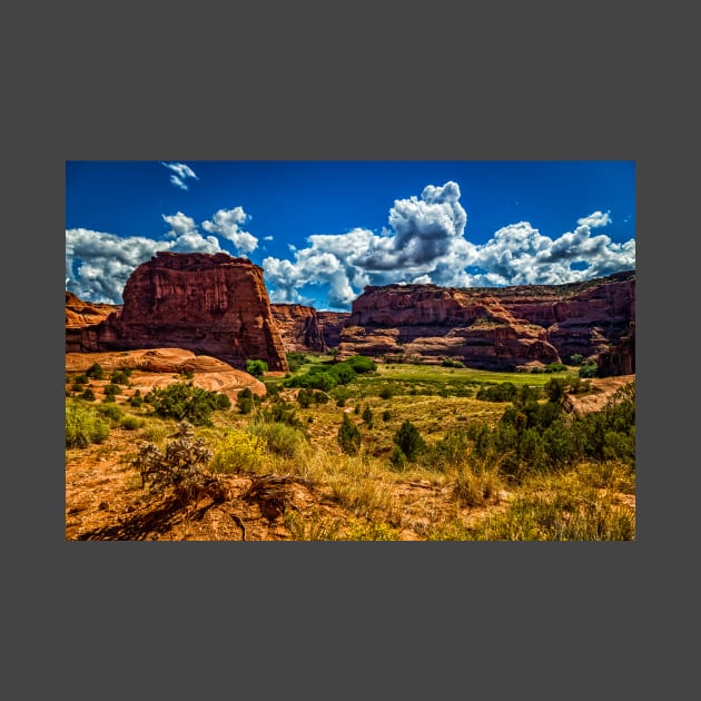 Canyon de Chelly National Monument by Gestalt Imagery