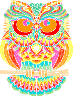 Beautiful Bright Owl Magnet