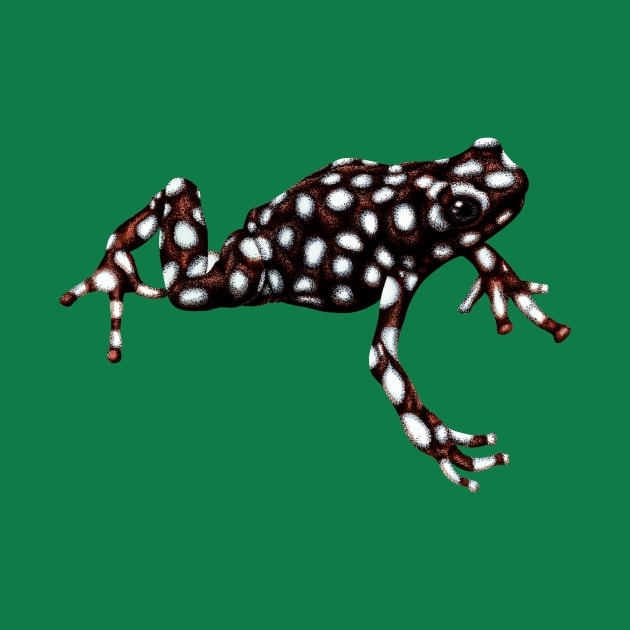 Maranon poison frog by lorendowding