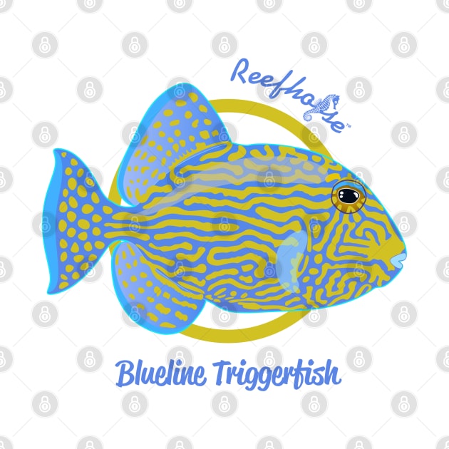 Blueline Triggerfish by Reefhorse