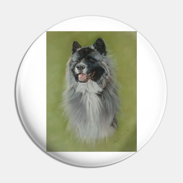 Long coat black face silver gray akita Pin by pollywolly