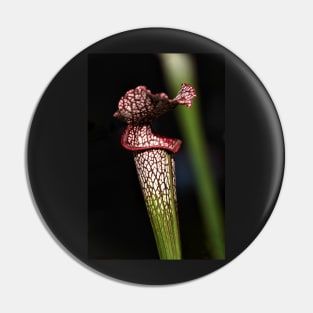 Red Lipped Carniverous Pitcher Plant Pin