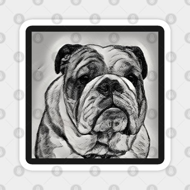 British Bulldog, Traditional Bulldog Art Magnet by LizTodd