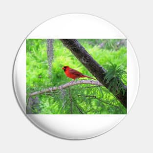 Red Bird Pin