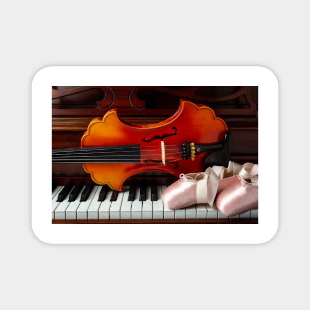 Pointe Shoes And Baroque Violin Magnet by photogarry