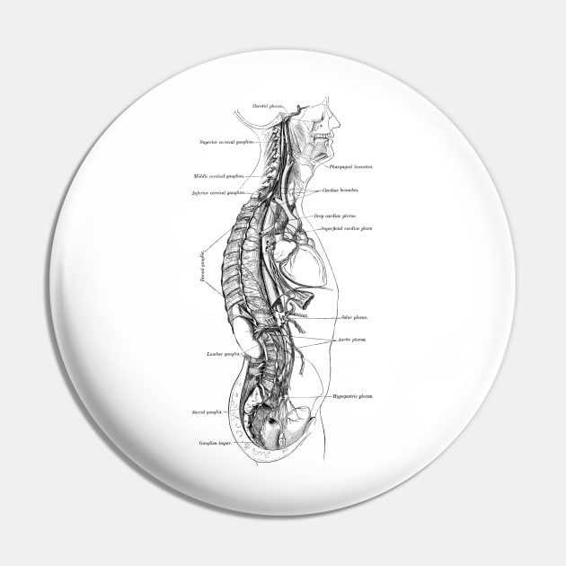 Human Body - Section Pin by be yourself. design