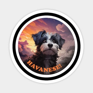 Havanese Magnet