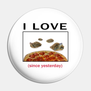 I LOVE *turtles* since yesterday Pin