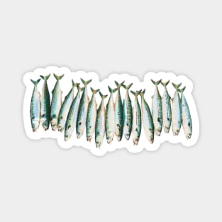 Mackerels painting Magnet