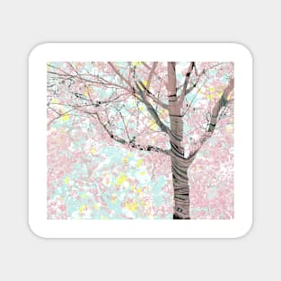 Spring Pale Cherry Blossoms Magnet