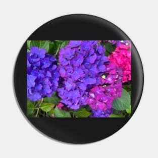 The Riotous Color of the Summer Hydrangea Pin