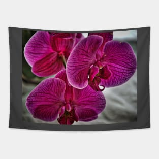 Red Orchid Bloom Tapestry