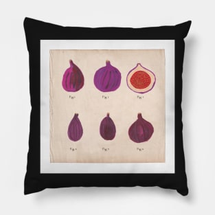 Fig botanical print Pillow