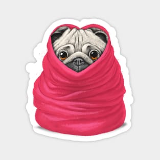 Pug in a warm blanket Magnet