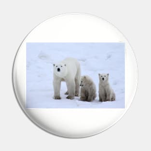 Polar Bears Family Portrait #3, Churchill, Canada Pin