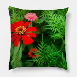 Red zinnia flower in the bush Pillow