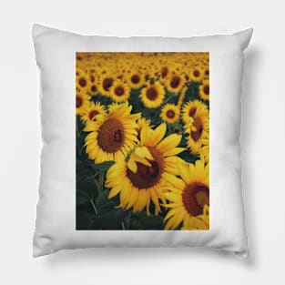 Sunflower Pillow