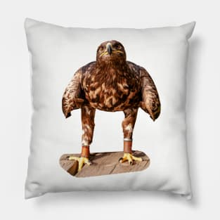 Falconers Eagle looking for food Pillow