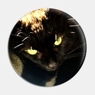 Green eyed black cat Pin