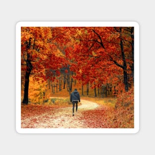 Autumn Forest/ Walking in the Fall Forest Magnet