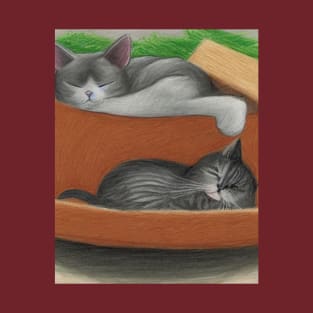 2 cats having a nap T-Shirt