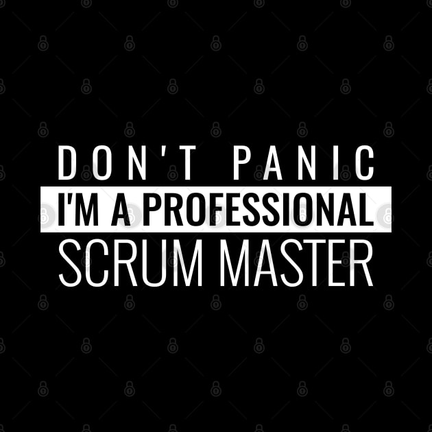 Don't panic I'm a professional scrum master by Salma Satya and Co.