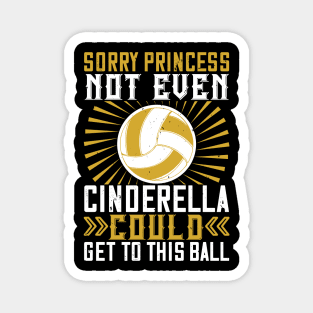 Sorry Princess Not Even Cinderella Could Get This Ball Magnet