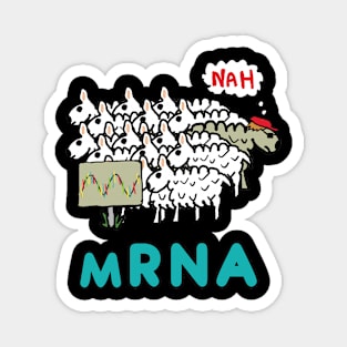 mRNA Magnet