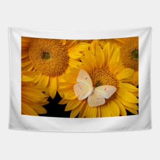 Soft Yellow Butterfly On Sunflower Tapestry