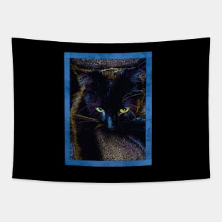 Beautiful black Cat Tapestry